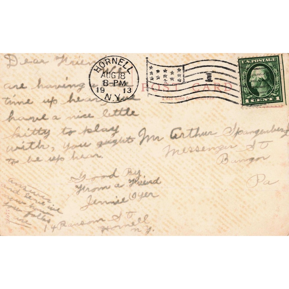Hornell New York NY Postcard Federation Building Street Arch c1913 Divided Back - Picture 2 of 2